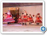 Annual_function15