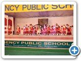 Annual_function17