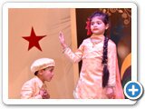 Annual_function22