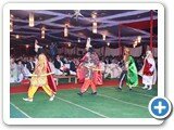 Annual_function31