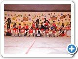 Annual_function49