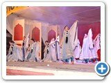 Annual_function5