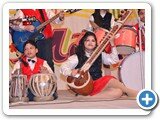 Annual_function50