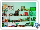 Co-Curricular-Activities14