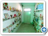 Co-Curricular-Activities15